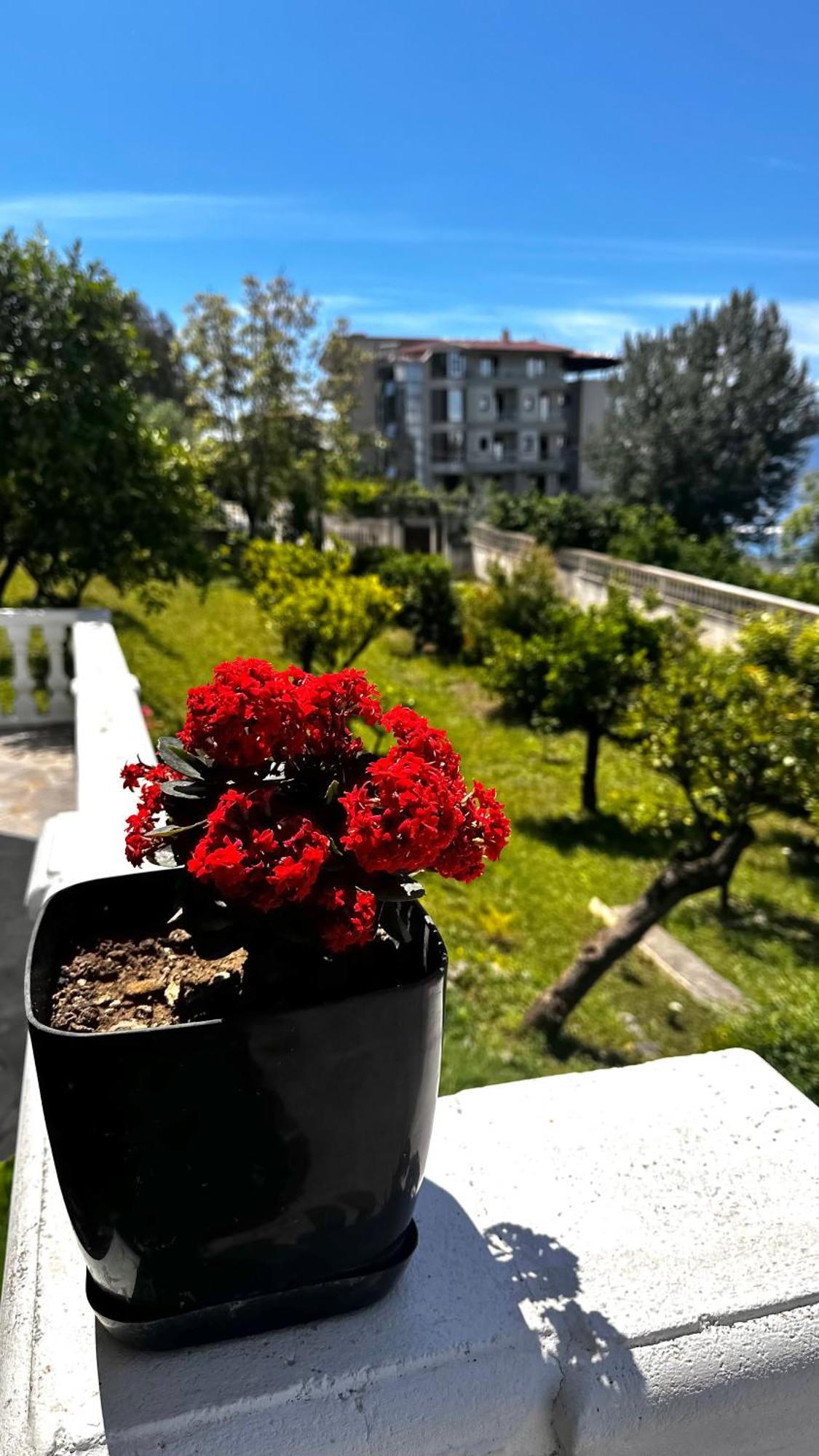 Villa Mare - For Families & Groups Vlore Exterior photo